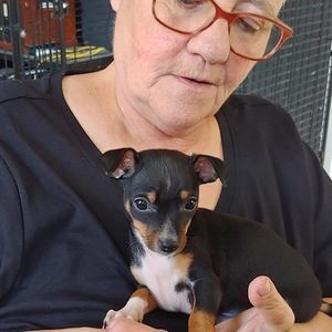 Meet your Posher, Molly